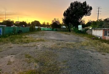 Lote de Terreno en  Avenida Del Bajío, El Bajío, Zapopan, Jalisco, 45019, Mex