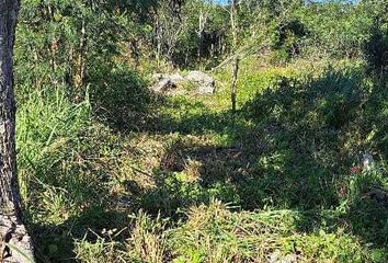 Lote de Terreno en  97325, Progreso, Yucatán, Mex