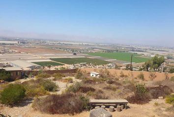 Lote de Terreno en  Avenida Rubén Ruíz, Sexta Sección, Libertad, Rodolfo Sánchez Taboada, Ensenada, Baja California, 22790, Mex