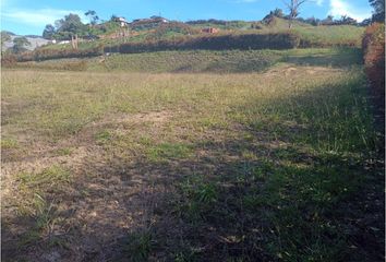 Lote de Terreno en  El Carmen De Viboral, Antioquia