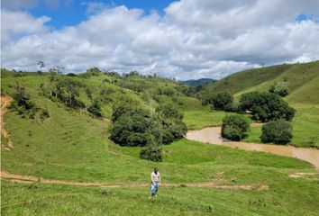 Lote de Terreno en  Maceo, Antioquia