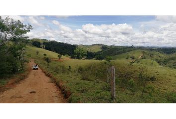 Lote de Terreno en  Maceo, Antioquia