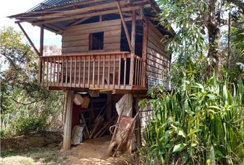 Villa-Quinta en  San Roque, Antioquia