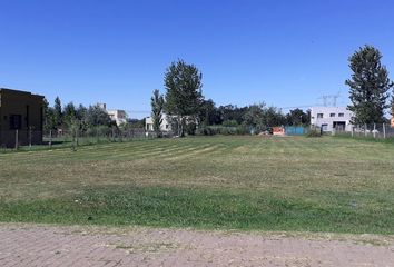 Terrenos en  Alejandro Petión, Partido De Cañuelas