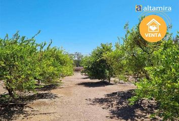 Parcela en  Pozo Almonte, Tamarugal