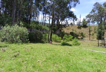 Terreno Comercial en  Cumbayá, Quito