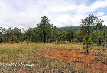 Lote de Terreno en  51304, Temascaltepec, México, Mex