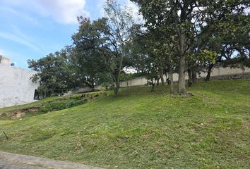 Lote de Terreno en  Real Del Bosque, Tlajomulco De Zúñiga