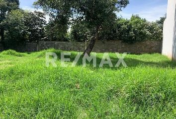 Lote de Terreno en  Campestre Zumpimito, Uruapan