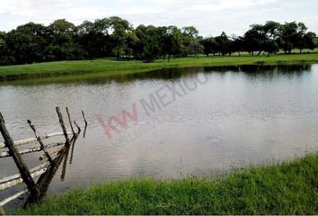 Lote de Terreno en  Plan De Ayala, Ciudad Valles, Ciudad Valles (municipio)