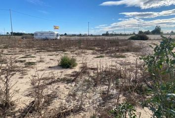 Terreno en  La Marina, Alicante Provincia