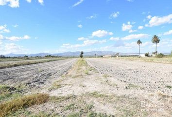 Terreno en  Crevillent, Alicante Provincia