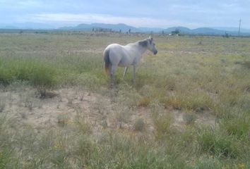 Lote de Terreno en  El Capitán, Ramos Arizpe, Coahuila