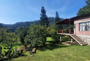 Casa en  51209, Santa María Pipioltepec, México, Mex