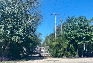 Lote de Terreno en  Carretera Temozón Norte - E.c. Mérida - Progreso, Temozón Norte, Mérida, Yucatán, 97302, Mex