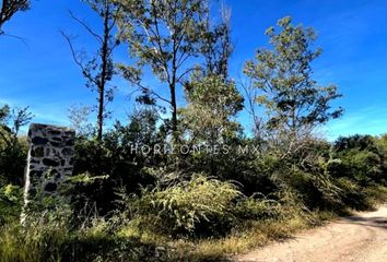 Lote de Terreno en  Cajones, Guanajuato, Mex