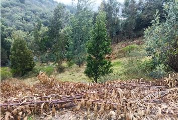 Lote de Terreno en  Sutatausa, Cundinamarca