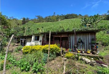 Villa-Quinta en  Apía, Risaralda