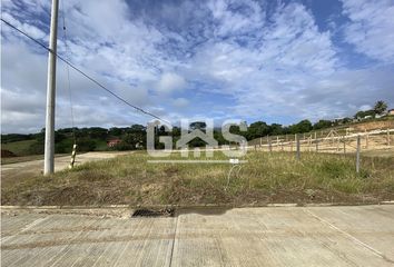 Lote de Terreno en  Ansermanuevo, Valle Del Cauca