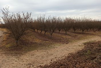 Parcela en  Pelarco, Talca