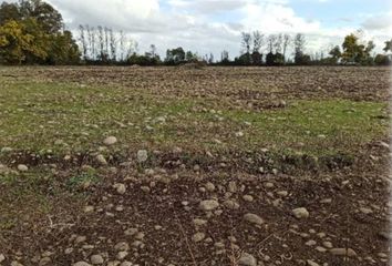 Parcela en  Yerbas Buenas, Linares