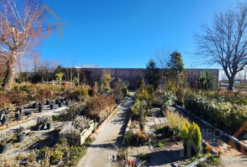 Terrenos en  Valentina Sur Rural, Neuquén