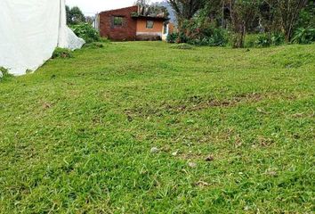 Lote de Terreno en  Camino Ál Kinder, Los Saucos, Valle De Bravo, México, 51245, Mex