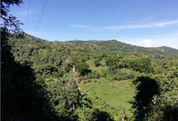 Lote de Terreno en  Acodis, Santa Marta