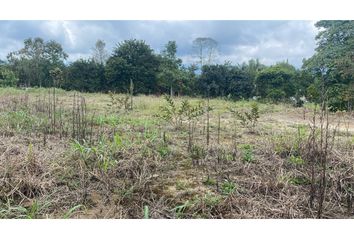 Lote de Terreno en  Salento, Quindío