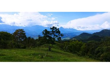 Lote de Terreno en  Andes, Antioquia