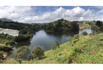 Lote de Terreno en  El Peñol, Antioquia