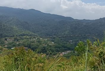 Lote de Terreno en  La Vorágine, Cali