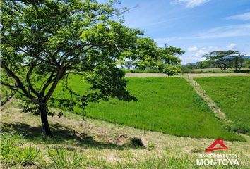 Lote de Terreno en  Alcalá, Valle Del Cauca