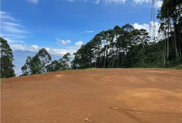 Lote de Terreno en  San Diego, Medellín