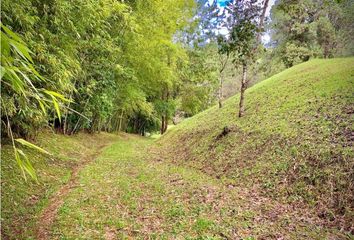 Lote de Terreno en  Rionegro Antioquía