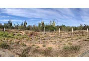 Lote de Terreno en  El Carrizal, Baja California Sur