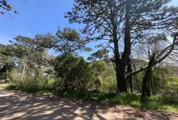 Terrenos en  Otro, Villa Gesell