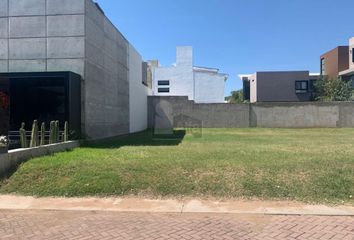 Lote de Terreno en  San Antonio, Irapuato, Irapuato, Guanajuato