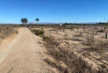 Terreno en  La Marina, Alicante Provincia