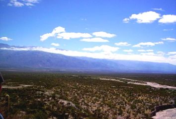 Terrenos en  Cafayate, Salta