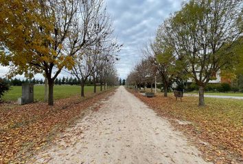 Terrenos en  Campos De Roca 2, Brandsen