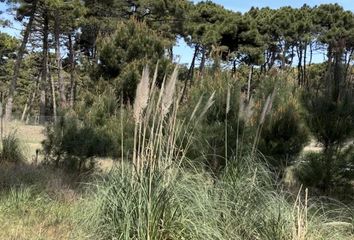 Terrenos en  Otro, Pinamar