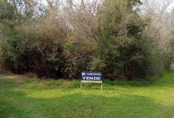 Terrenos en  Alarcón, Entre Ríos