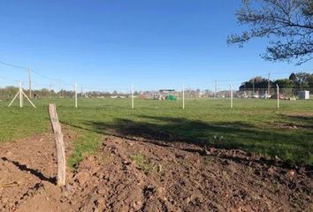 Terrenos en  Arturo Seguí, Partido De La Plata