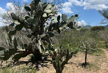 Lote de Terreno en  Calle José María Morelos 12, Los Pérez, Alfredo V. Bonfil, Ezequiel Montes, Querétaro, 76686, Mex