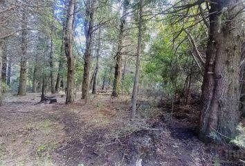 Terrenos en  San Carlos De Bariloche, San Carlos De Bariloche