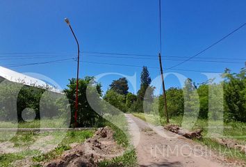 Terrenos en  Cipolletti, Río Negro