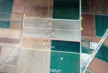 Lote de Terreno en  Scally, Ahome