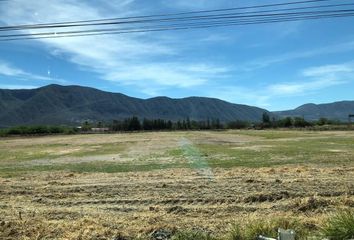 Lote de Terreno en  Polillas De Zacoalco, Zacoalco De Torres