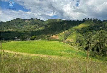 Lote de Terreno en  Caldas, Centro Norte, Santa Rosa De Cabal